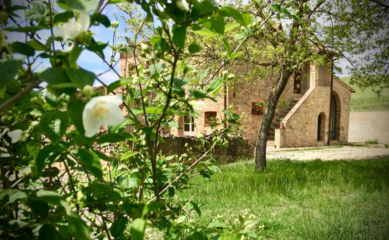 Vento D'Orcia Villa Pienza Eksteriør bilde