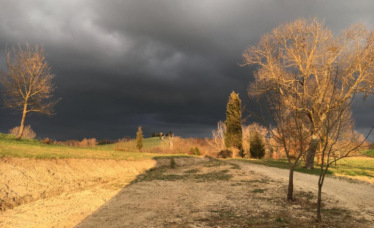 Vento D'Orcia Villa Pienza Eksteriør bilde