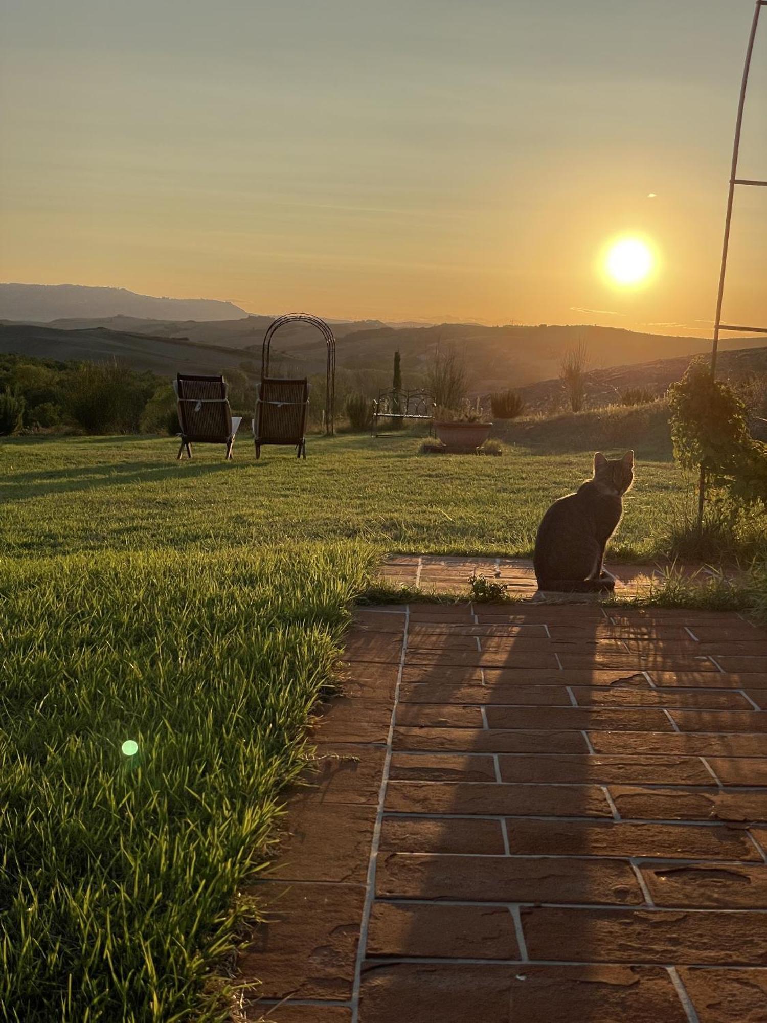 Vento D'Orcia Villa Pienza Eksteriør bilde