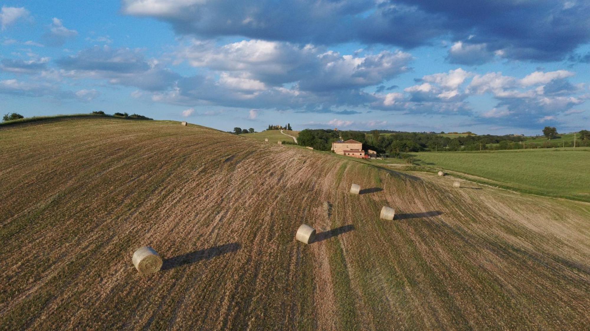 Vento D'Orcia Villa Pienza Eksteriør bilde
