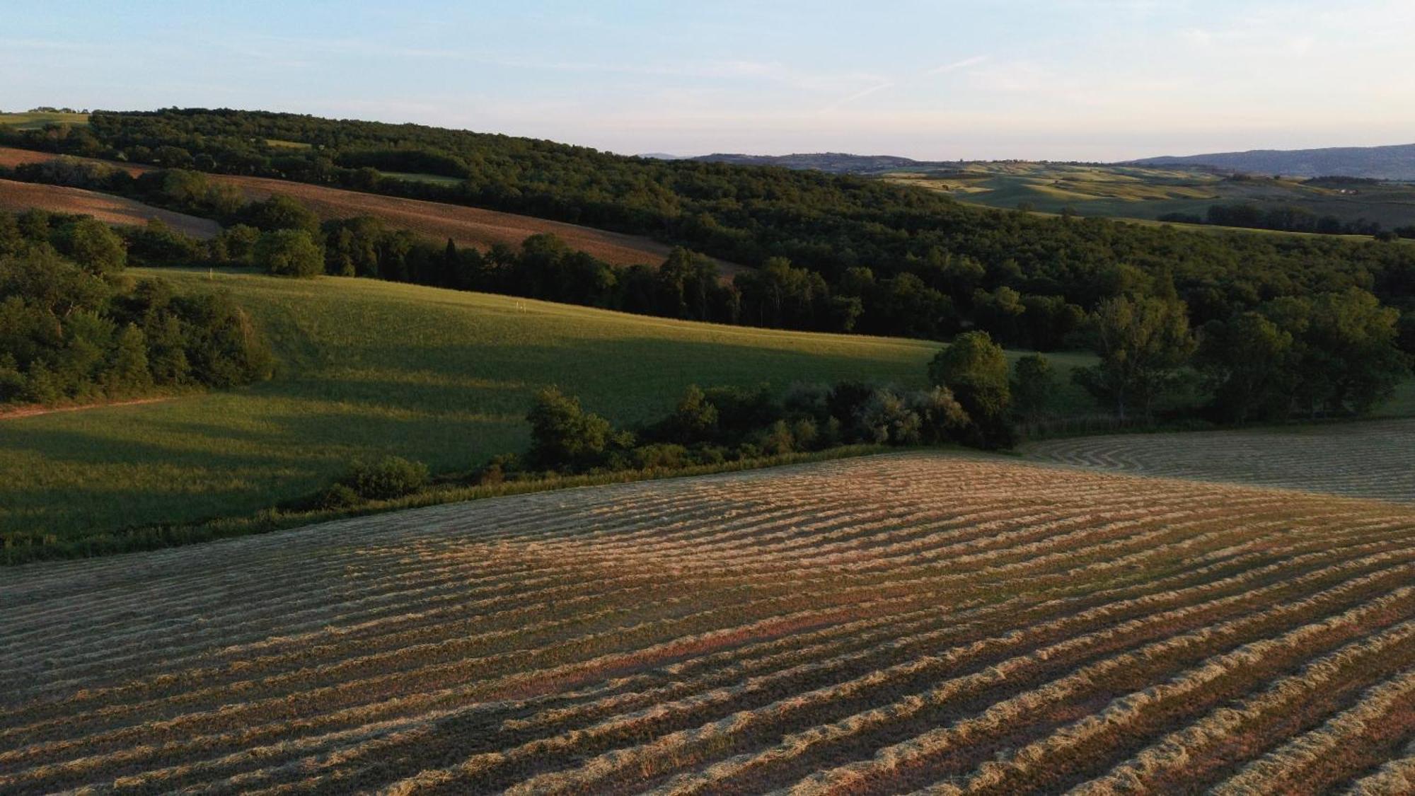 Vento D'Orcia Villa Pienza Eksteriør bilde