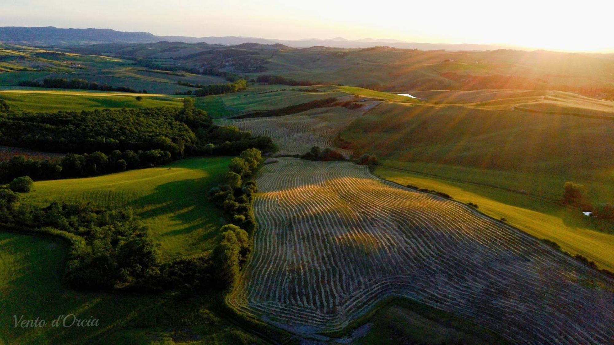 Vento D'Orcia Villa Pienza Eksteriør bilde